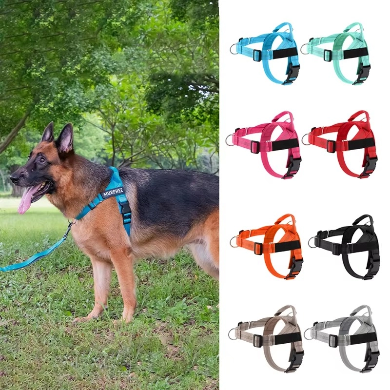 Personalized Reflective No Pull Harness for Small Medium Dog Washable Explosion-proof Comfort