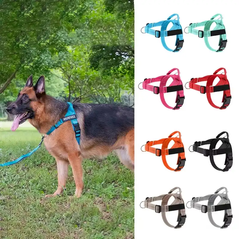 Personalized Reflective No Pull Harness for Small Medium Dog Washable Explosion-proof Comfort